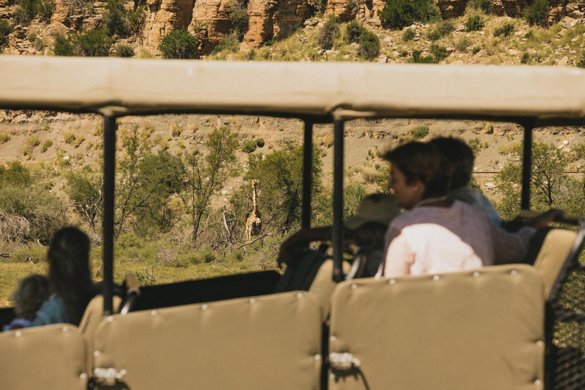 Buccara Wildlife Reserve Graaff Reinet Ngoại thất bức ảnh